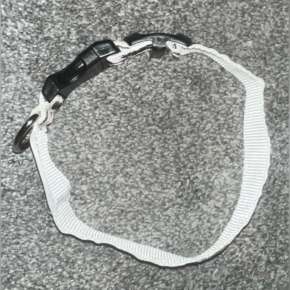 *BRAND NEW/ NEVER USED* Army/ Leopard Dog Collar